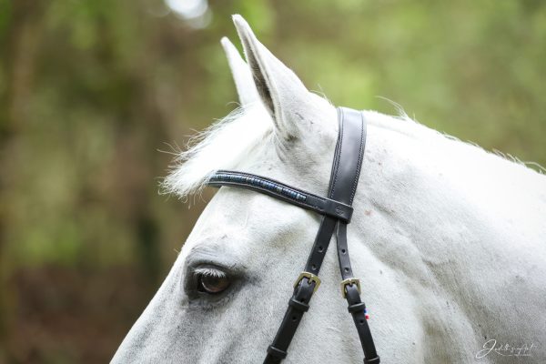 Bridon avec muserolle française intégrée aux montants en cuir de vache tannage végétal noir, doublure en veau noir, insert en Lapis Lazuli, fil de lin et bouclerie inox - AMBLE Sellier