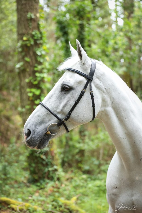 Bridon avec muserolle française intégrée aux montants en cuir de vache tannage végétal noir, doublure en veau noir, insert en Lapis Lazuli, fil de lin et bouclerie inox - AMBLE Sellier